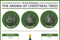 Der Chemielehrer kennt sich aus: hier erklärt er noch detaillierter als wir im Blog, woher der Duft der Nadelbäume kommt (Grafik: Compound Interest, CC BY NC ND).